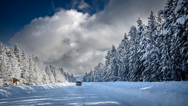 Zolqandentrix o nama 2